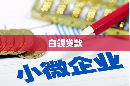 通榆白领贷款