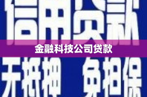 大堂金融科技公司贷款