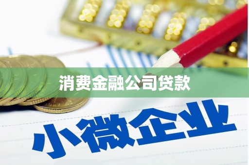 陆川消费金融公司贷款