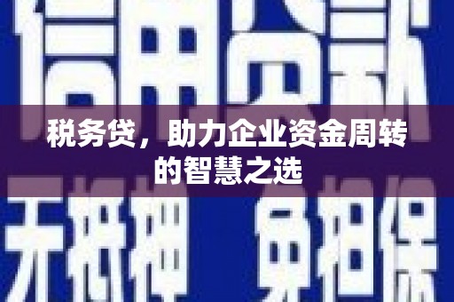 黄南税务贷，助力企业资金周转的智慧之选