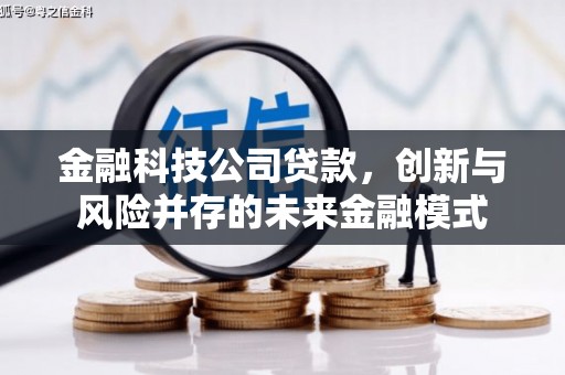 沙湾金融科技公司贷款，创新与风险并存的未来金融模式