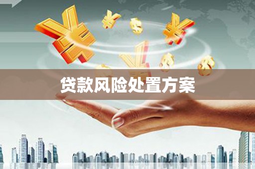 姚安贷款风险处置方案