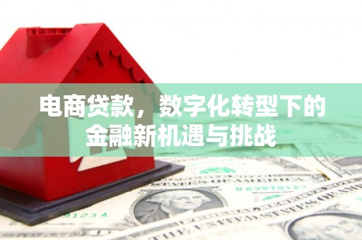 定远电商贷款，数字化转型下的金融新机遇与挑战