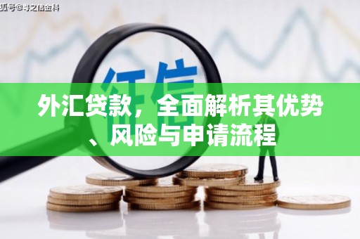 台山外汇贷款，全面解析其优势、风险与申请流程
