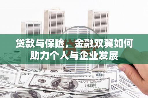 南宫贷款与保险，金融双翼如何助力个人与企业发展