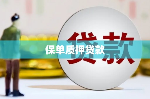 武隆保单质押贷款
