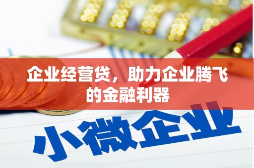 天峨企业经营贷，助力企业腾飞的金融利器