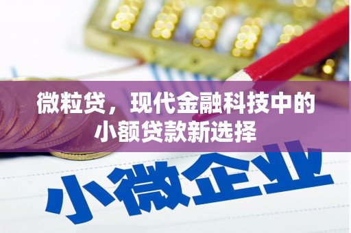宾川微粒贷，现代金融科技中的小额贷款新选择