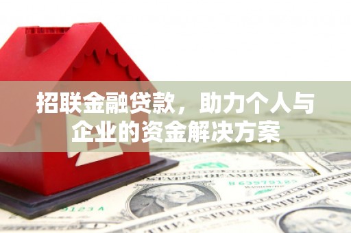 镇康招联金融贷款，助力个人与企业的资金解决方案