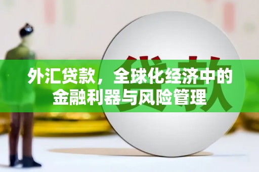 东乌旗外汇贷款，全球化经济中的金融利器与风险管理