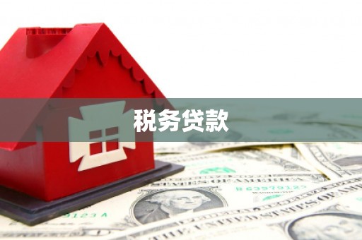 小店税务贷款