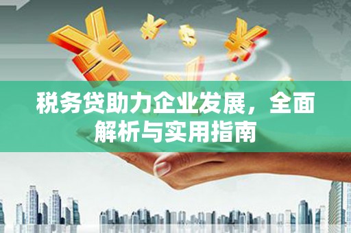 盐田税务贷助力企业发展，全面解析与实用指南