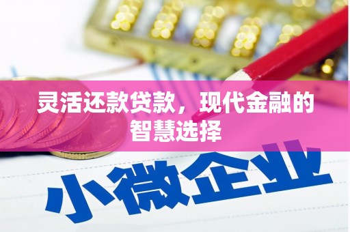 华宁灵活还款贷款，现代金融的智慧选择