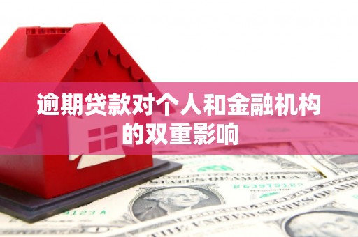 文昌逾期贷款对个人和金融机构的双重影响