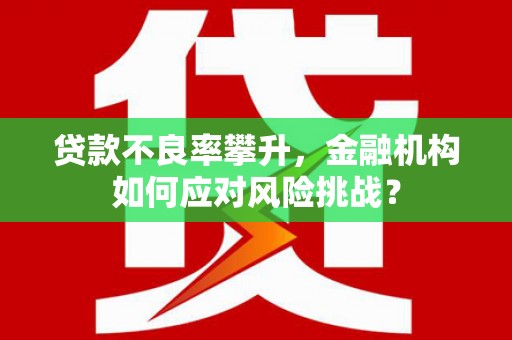 庆元贷款不良率攀升，金融机构如何应对风险挑战？