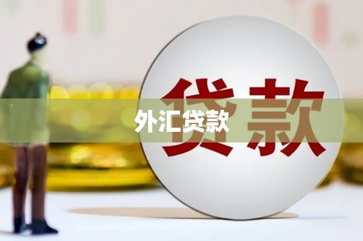 新晃外汇贷款