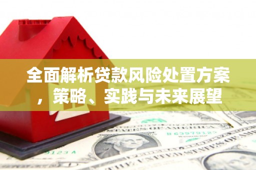 宣化全面解析贷款风险处置方案，策略、实践与未来展望