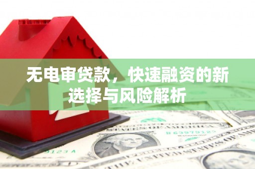 大社无电审贷款，快速融资的新选择与风险解析