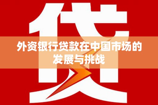 苍溪外资银行贷款在中国市场的发展与挑战