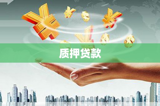 隆阳质押贷款