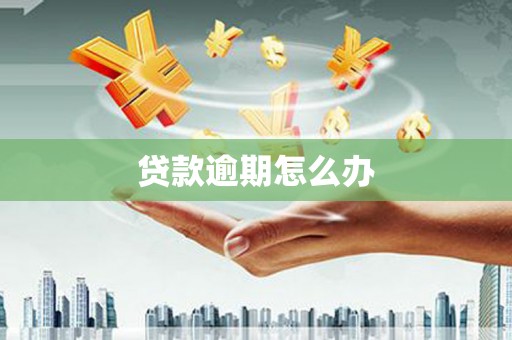 新巴尔虎左旗贷款逾期怎么办