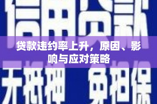 贞丰贷款违约率上升，原因、影响与应对策略