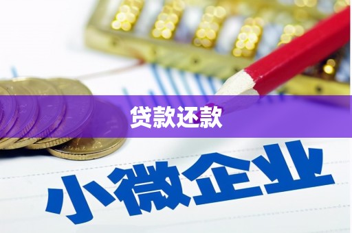 盘龙贷款还款