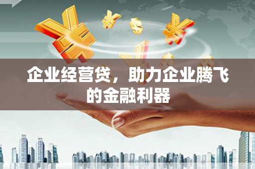 虾峙企业经营贷，助力企业腾飞的金融利器