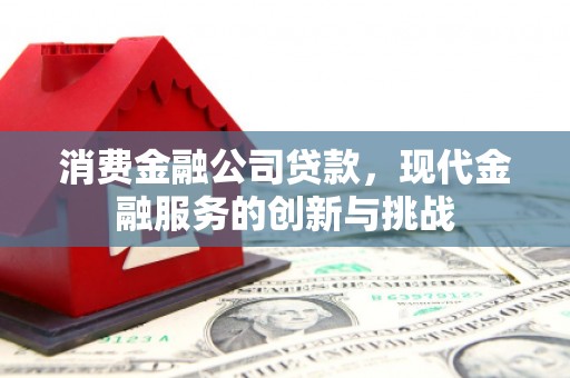 东西湖消费金融公司贷款，现代金融服务的创新与挑战