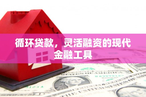 那曲循环贷款，灵活融资的现代金融工具