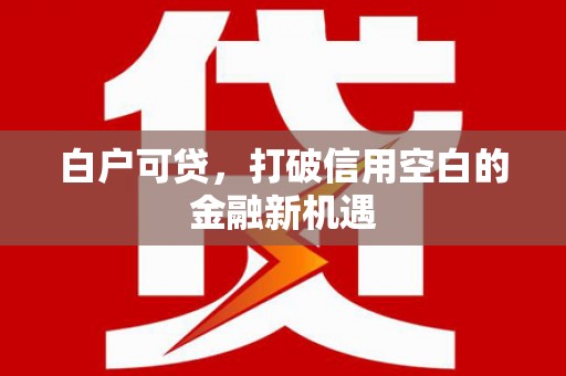 乐东白户可贷，打破信用空白的金融新机遇