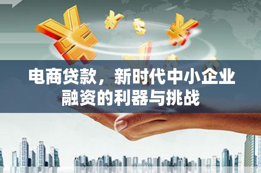项城电商贷款，新时代中小企业融资的利器与挑战