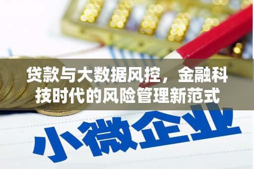 新埔贷款与大数据风控，金融科技时代的风险管理新范式