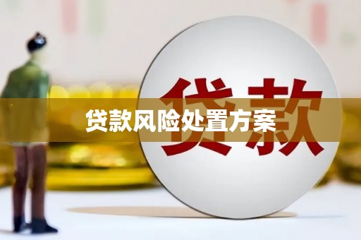 观塘贷款风险处置方案