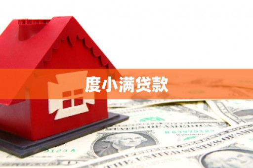 大名度小满贷款