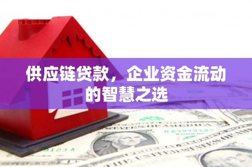 立山供应链贷款，企业资金流动的智慧之选