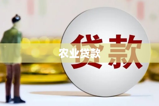 伊川农业贷款