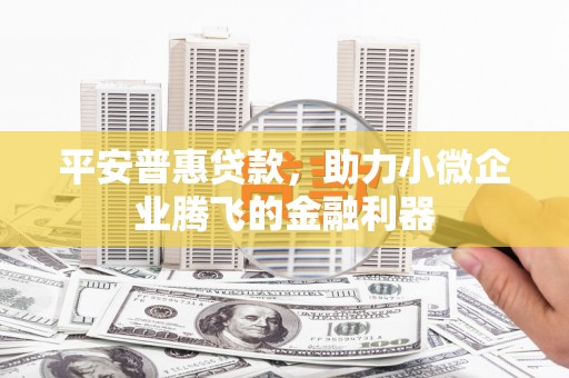 赫山平安普惠贷款，助力小微企业腾飞的金融利器