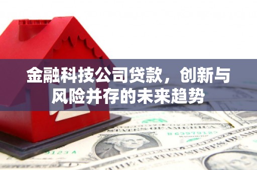 孝昌金融科技公司贷款，创新与风险并存的未来趋势