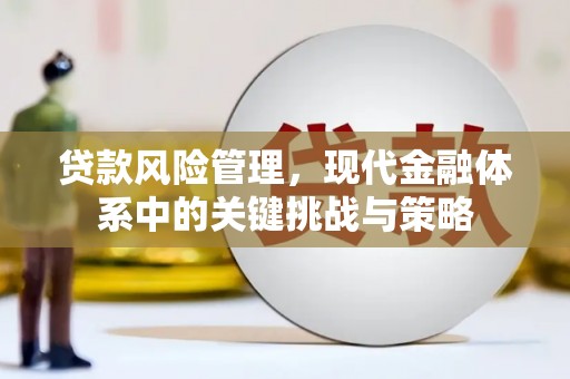 文峰贷款风险管理，现代金融体系中的关键挑战与策略