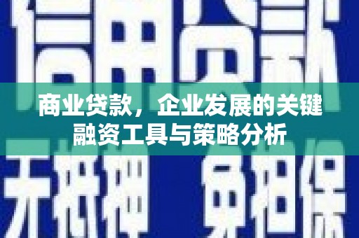 新泰商业贷款，企业发展的关键融资工具与策略分析