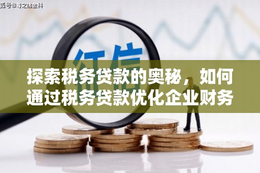 南投探索税务贷款的奥秘，如何通过税务贷款优化企业财务
