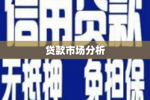 新河贷款市场分析