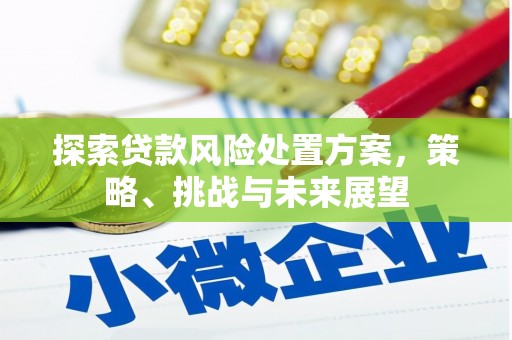 吴忠探索贷款风险处置方案，策略、挑战与未来展望