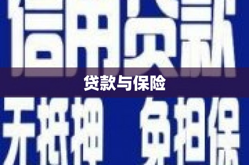 海端贷款与保险