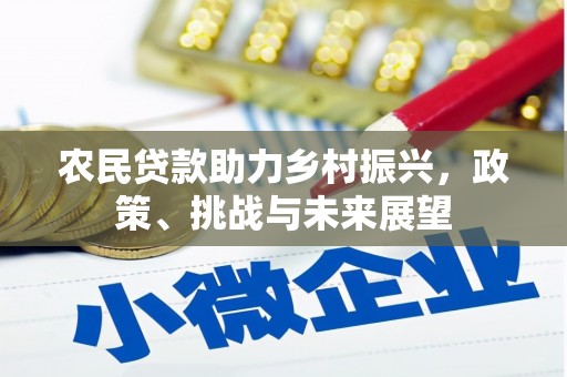 云浮农民贷款助力乡村振兴，政策、挑战与未来展望