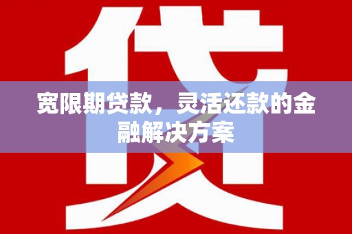 元长宽限期贷款，灵活还款的金融解决方案