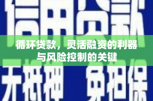 蒙阴循环贷款，灵活融资的利器与风险控制的关键