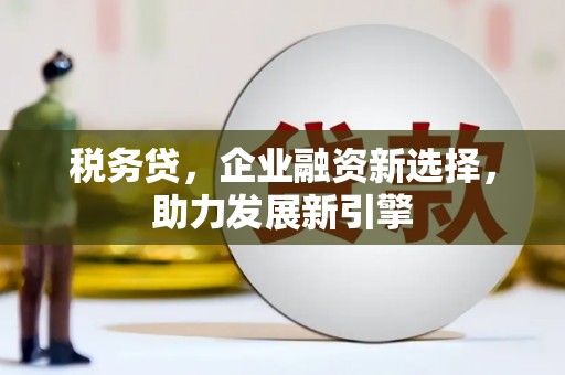 坪山新区税务贷，企业融资新选择，助力发展新引擎