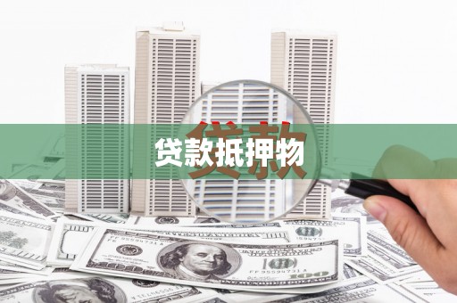 尼玛贷款抵押物